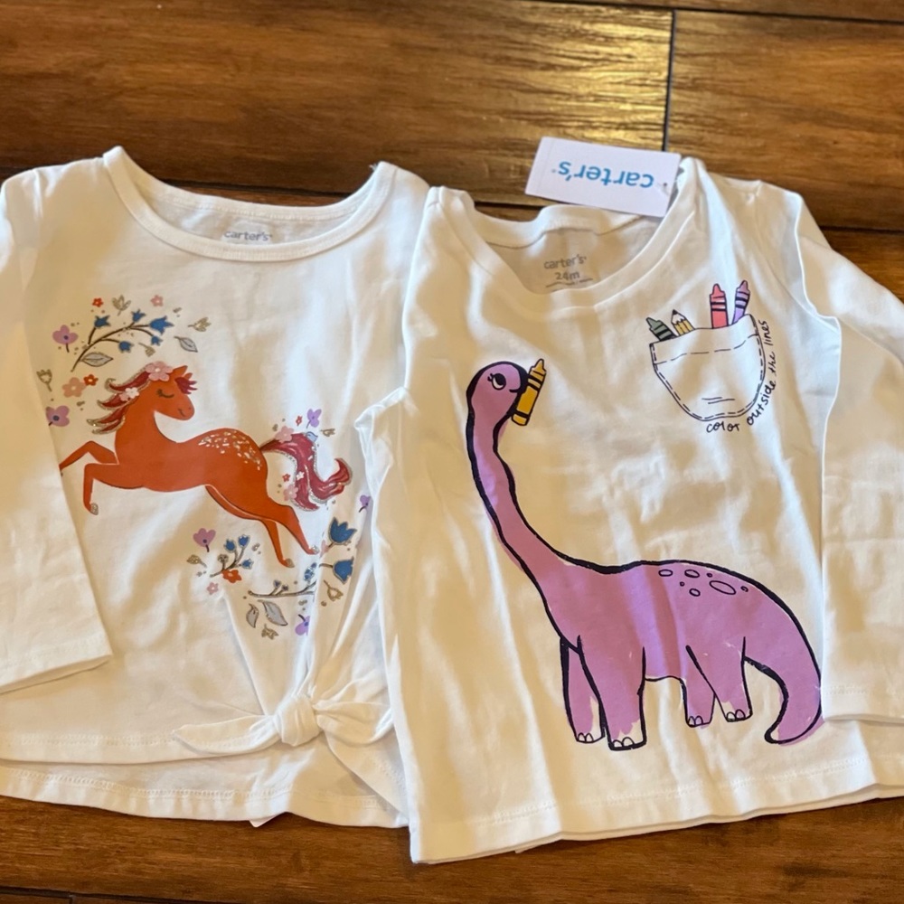 Set of 2 Girls long sleeve graphic T-shirts. Size 24M - Picture 1 of 9